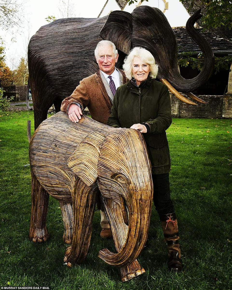 Queen Camilla With Wooden Elephants Wallpaper