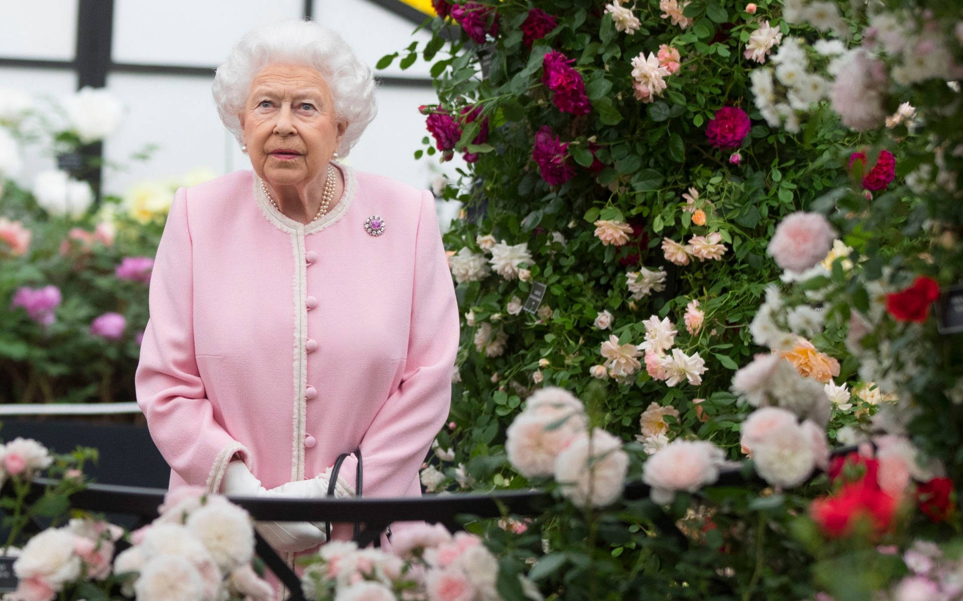 La Regina Elisabetta In Un Giardino Sfondo