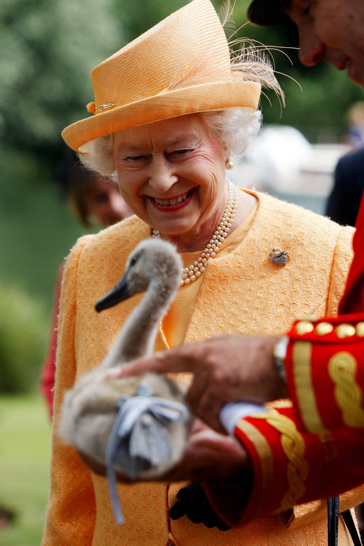 La Regina Elisabetta Con Un'anatra Sfondo