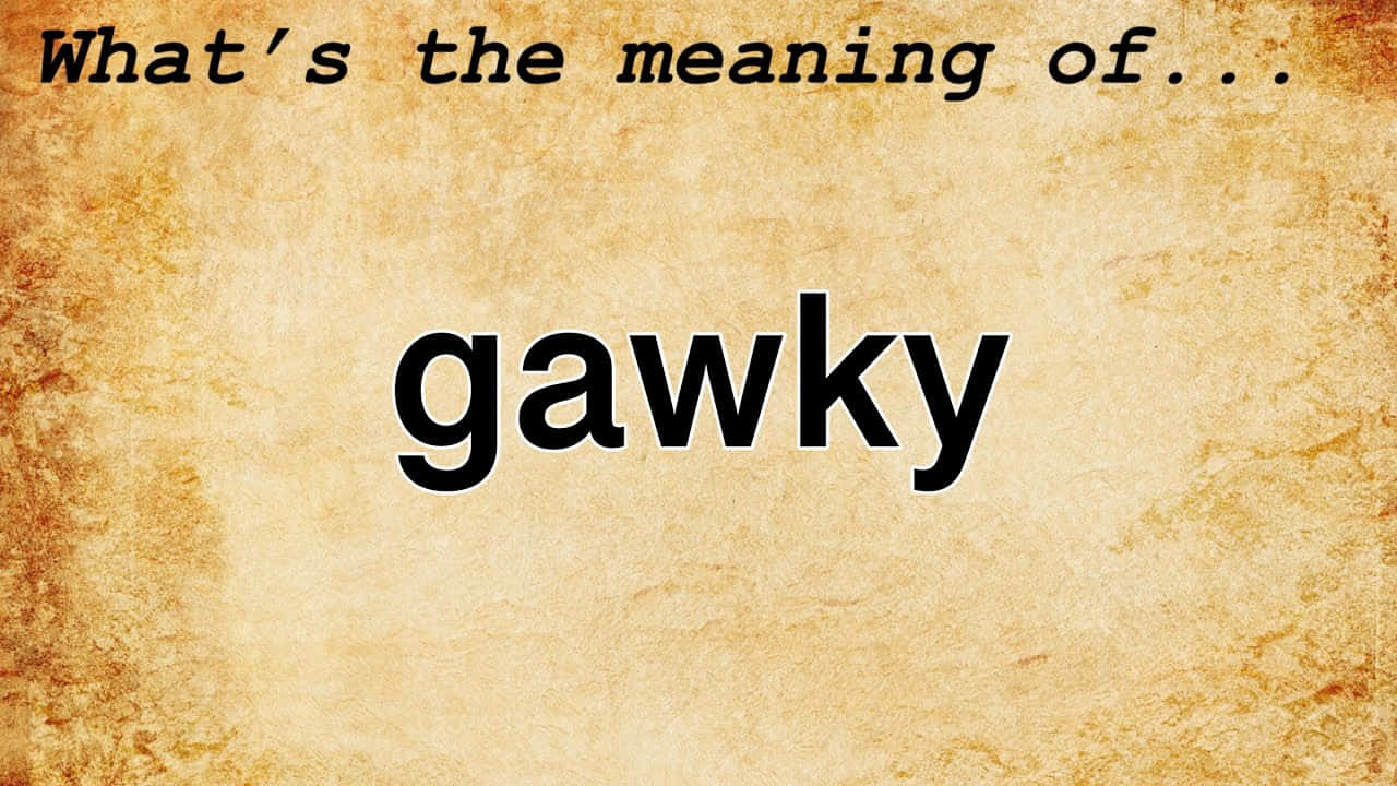 Preguntasobre El Significado De Gawky. Fondo de pantalla