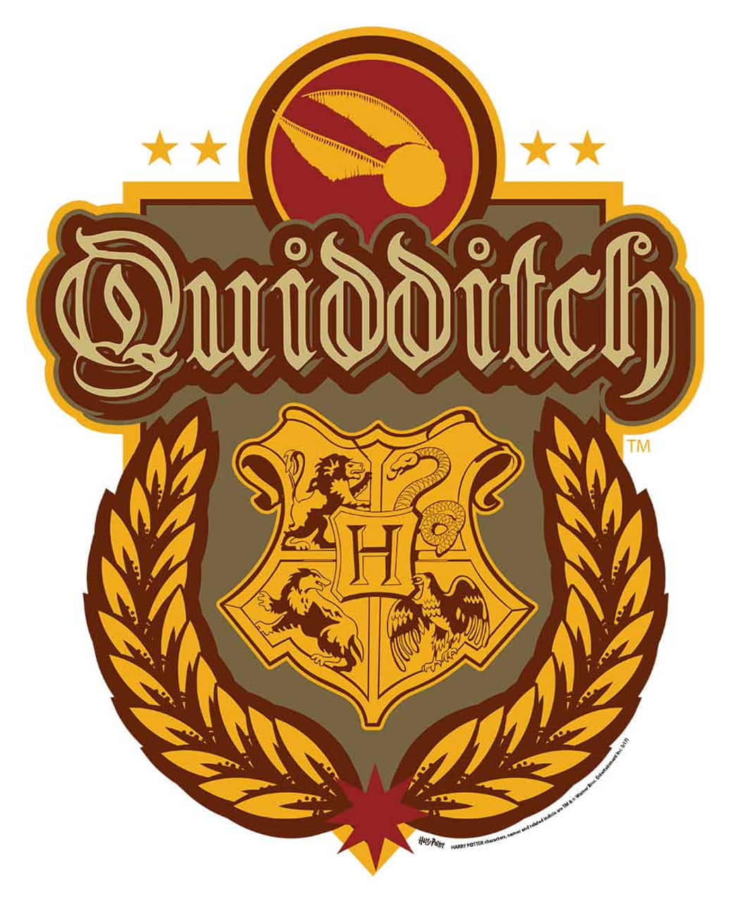 Mimo Wszystko, harry potter quidditch HD phone wallpaper | Pxfuel