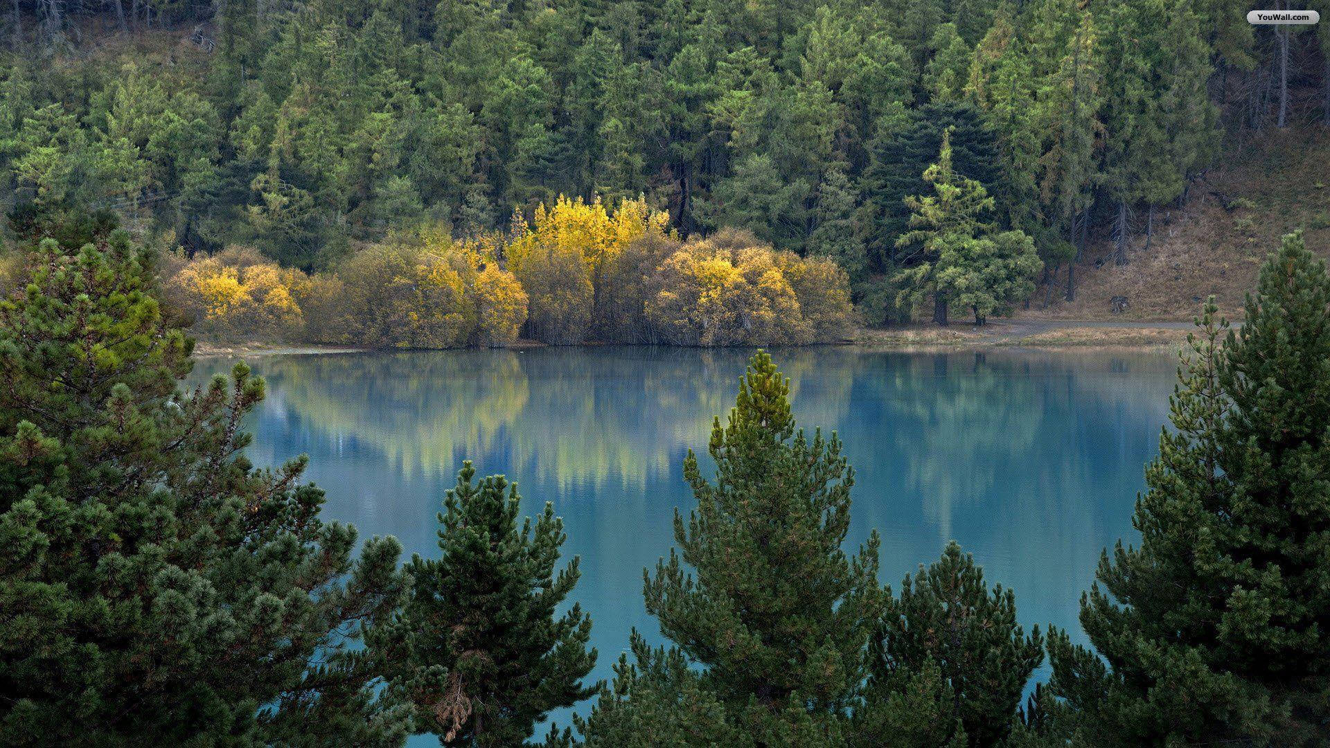 Bosquetranquilo Junto Al Lago Fondo de pantalla