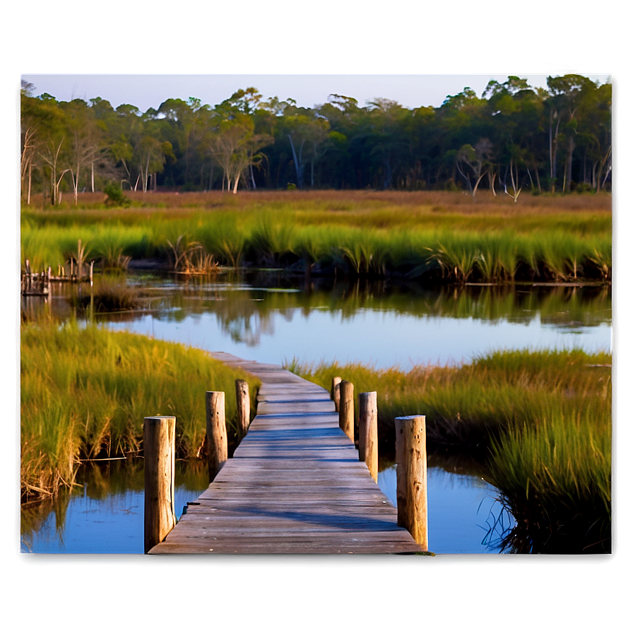 Quiet Marsh Walkway Png 06202024 PNG