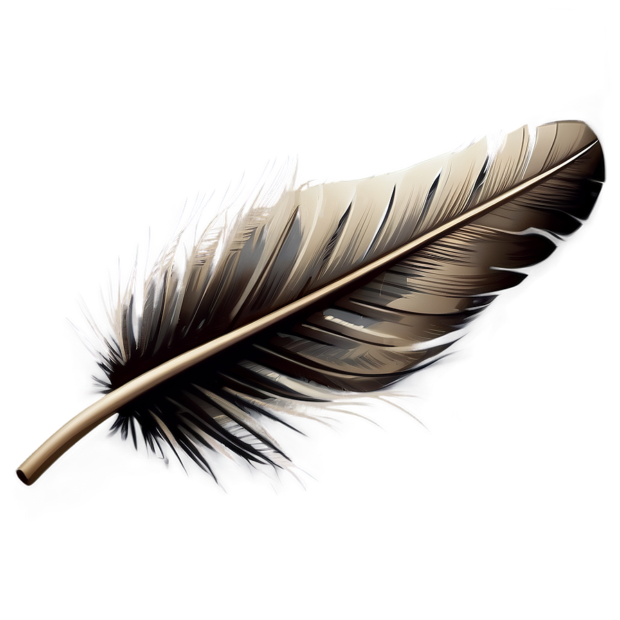 Quill Feather Writing Tool Png Roa5 PNG
