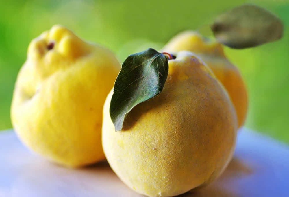 Celebrate Autumn with the Flavorful Quince Fruit