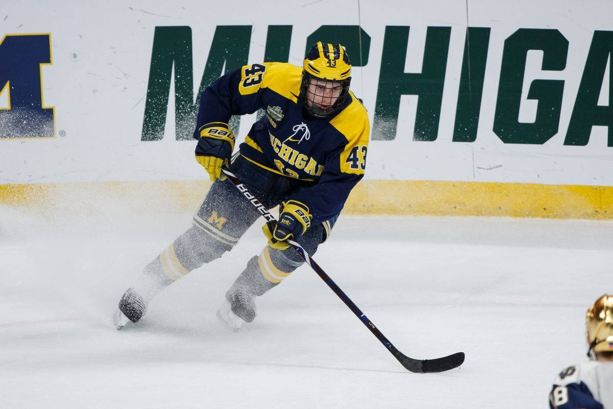 Quinn Hughes Leaning To The Left Pushing Hockey Stick Wallpaper