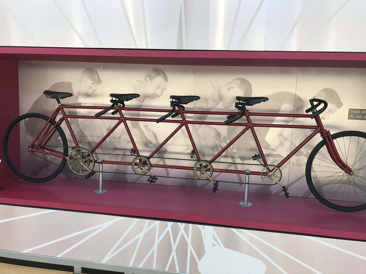 Quintuple Tandem Bicycle Exhibit Wallpaper