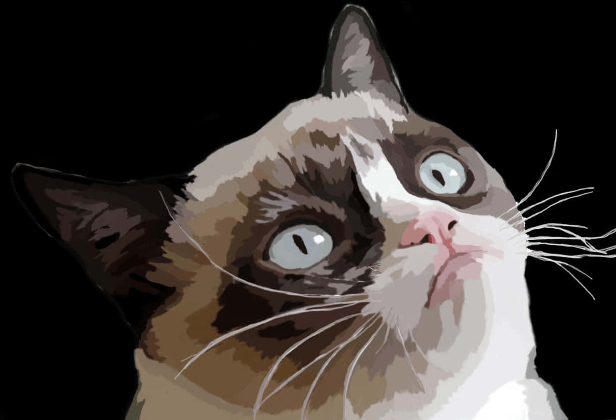 Quizzical Brown White Cat PNG