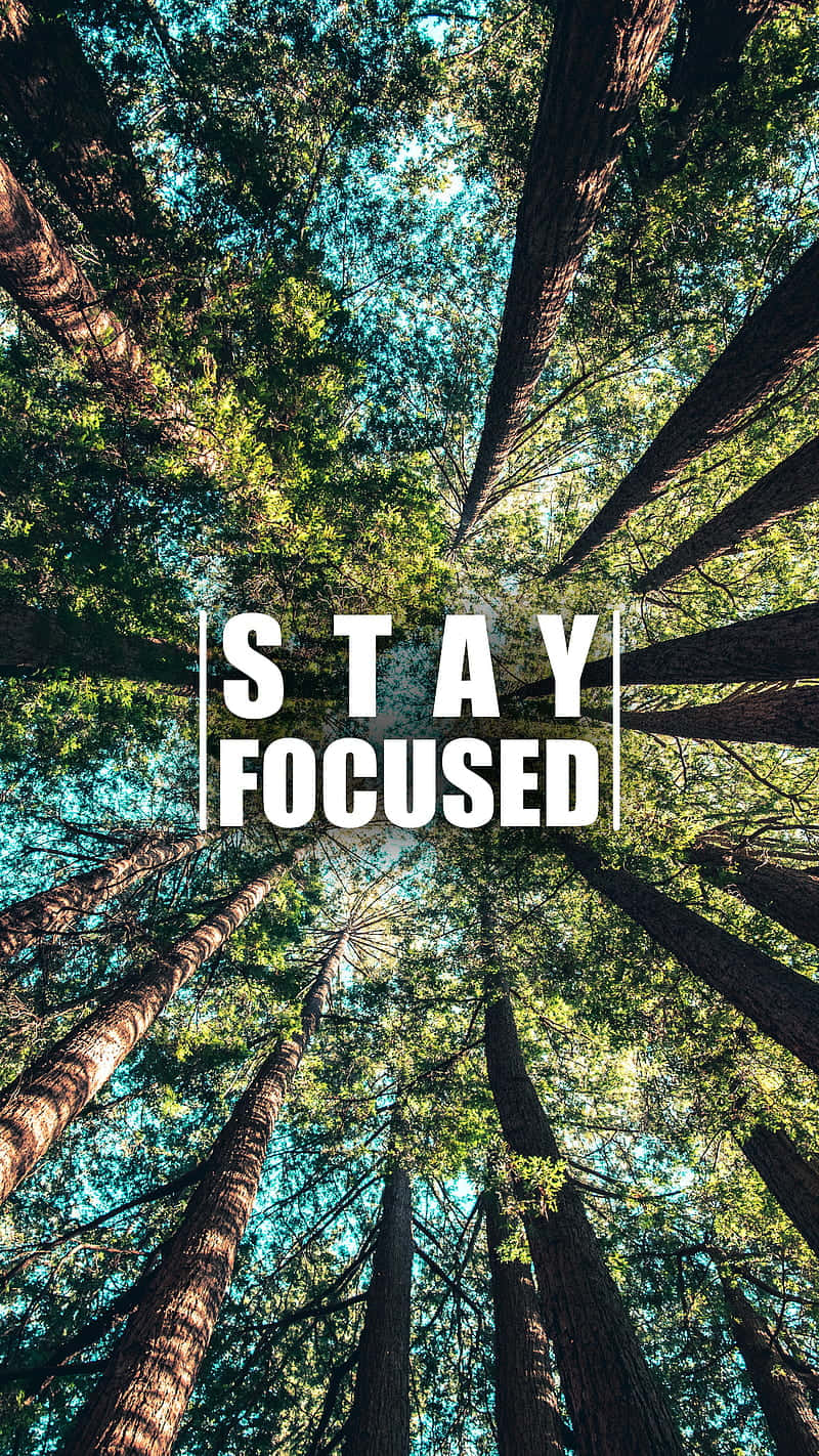 Quote About Focused Wallpaper