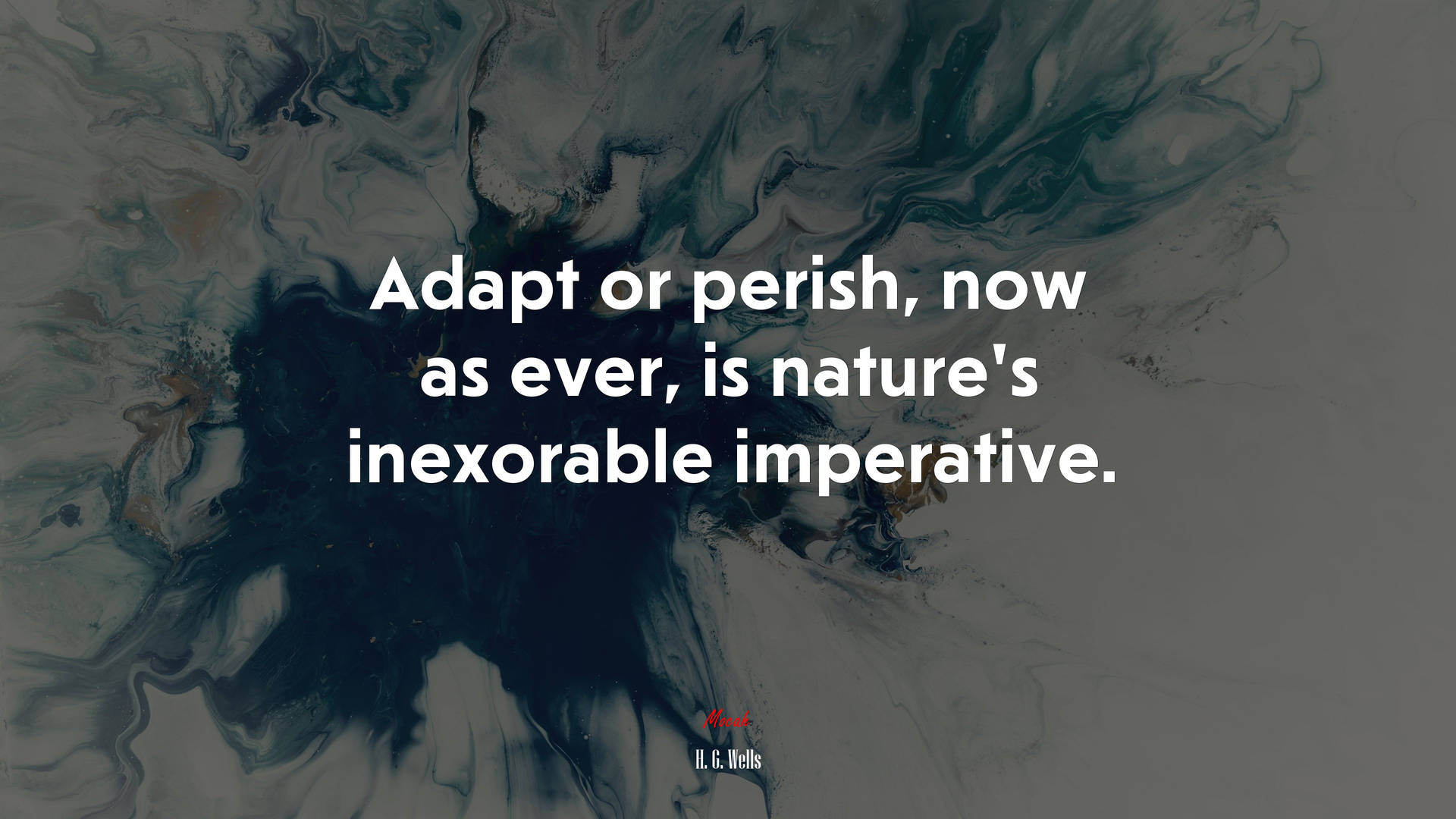 Quote About Nature's Imperative Wallpaper