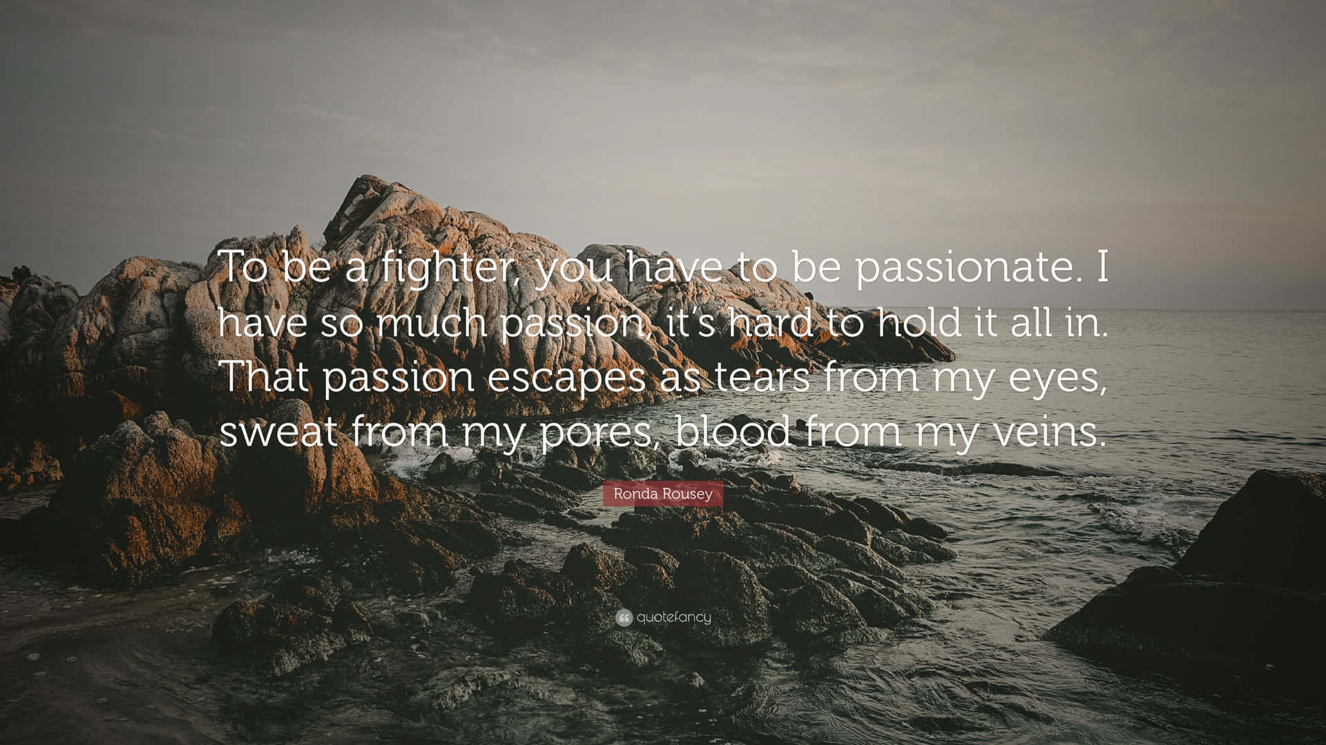 Quote Graphics About Being A Fighter And Passionate Wallpaper
