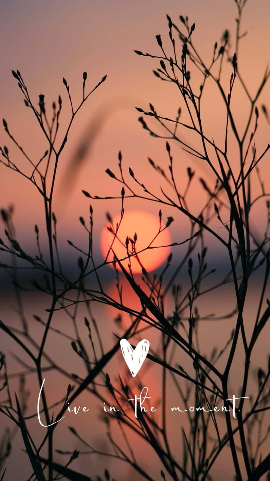 Quote With Heart And Branches On Sunset Wallpaper