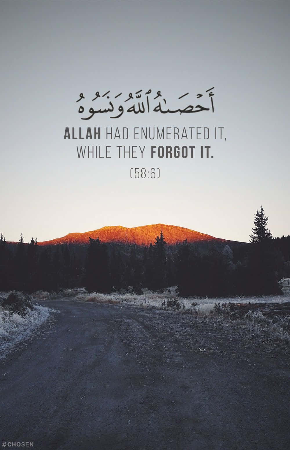 A Road With The Words Allah Has Enmity While They Forgot It Wallpaper