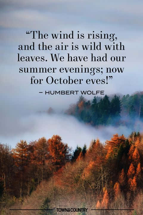 Derwind Wird Stärker Und Die Luft Ist Wild Von Herumfliegenden Blättern. Jetzt Haben Wir Sommerliche Abende Im Oktober - Humbert Ross. Wallpaper