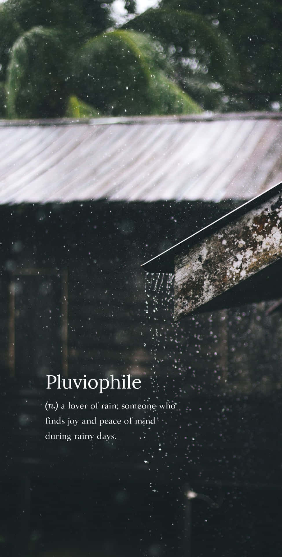 A Rainy Day With The Words Pyrophyle Wallpaper