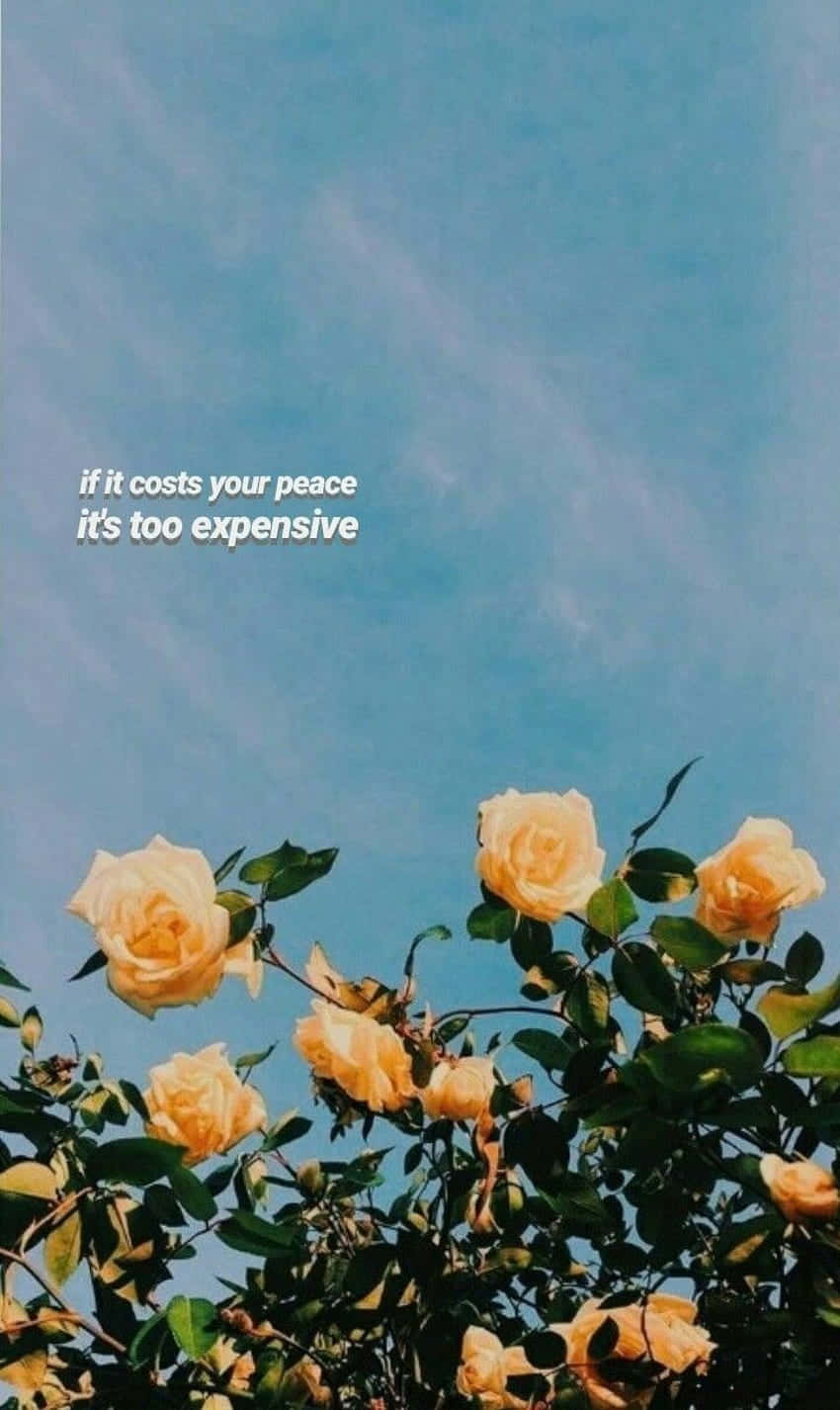 tumblr roses quotes