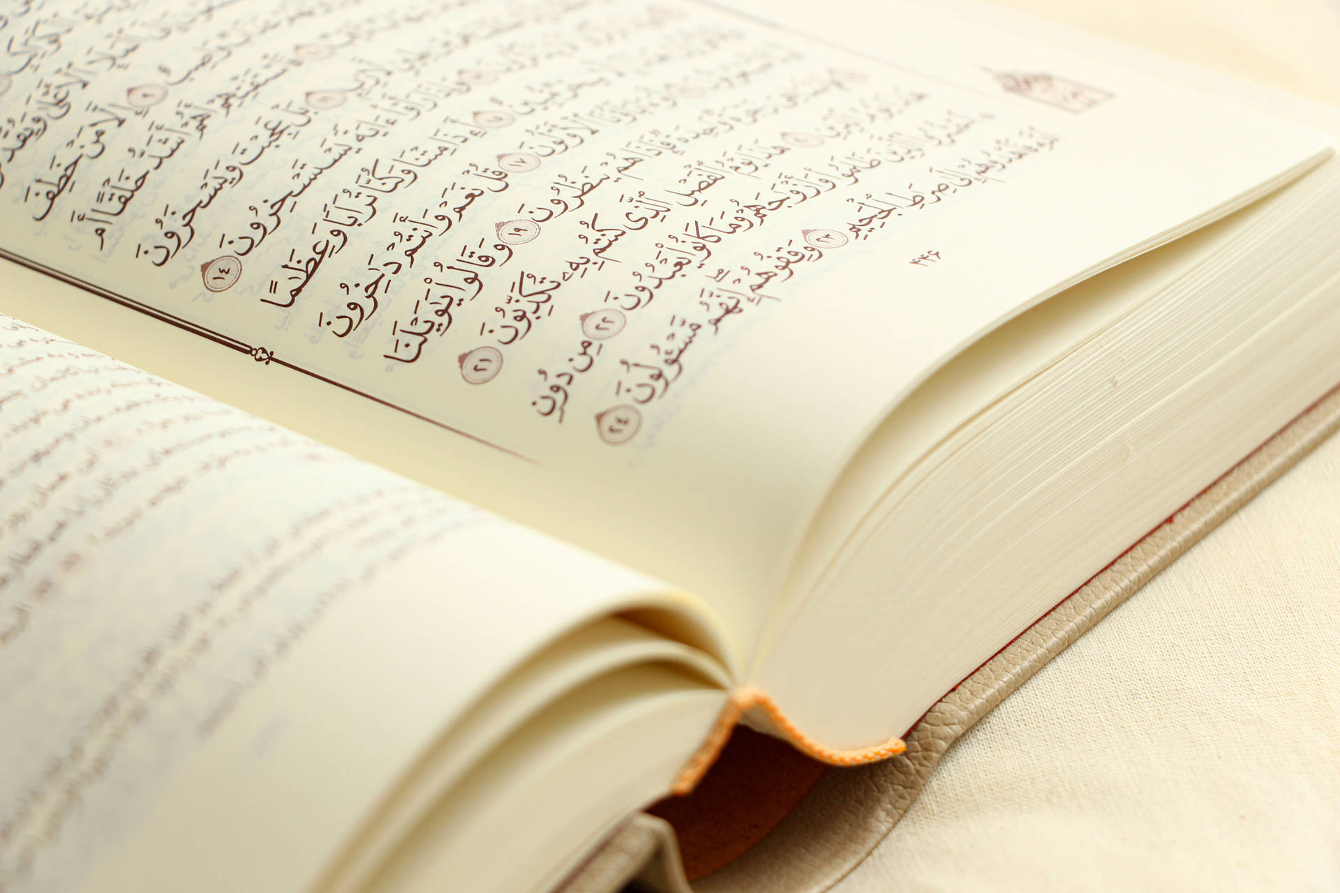 Quran Book Of Allah