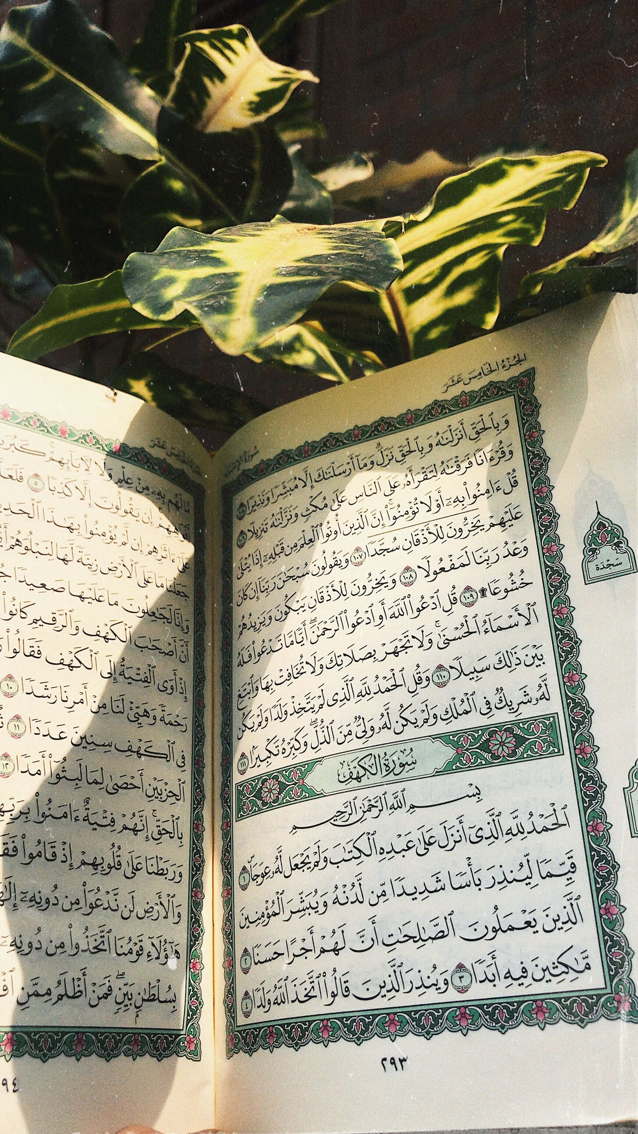 Quranopulentes Bild