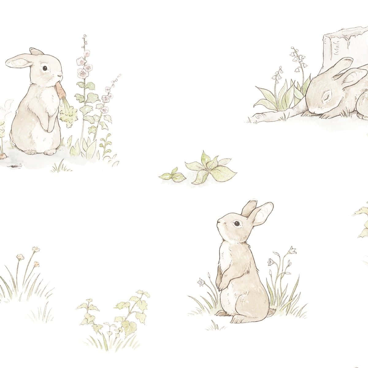 A Collection Of Rabbits In The Grass