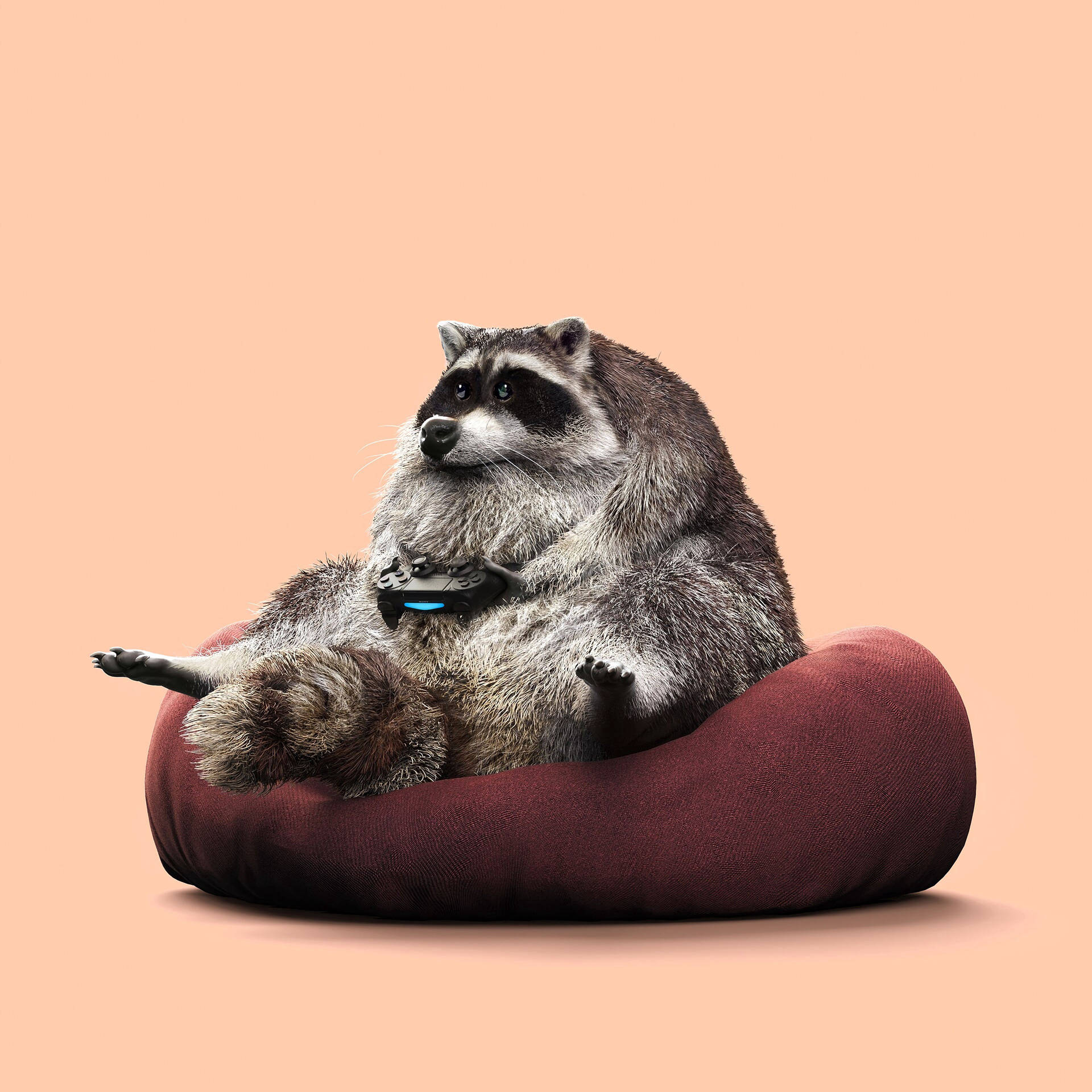 Raccoon Gamer In Pink Picture