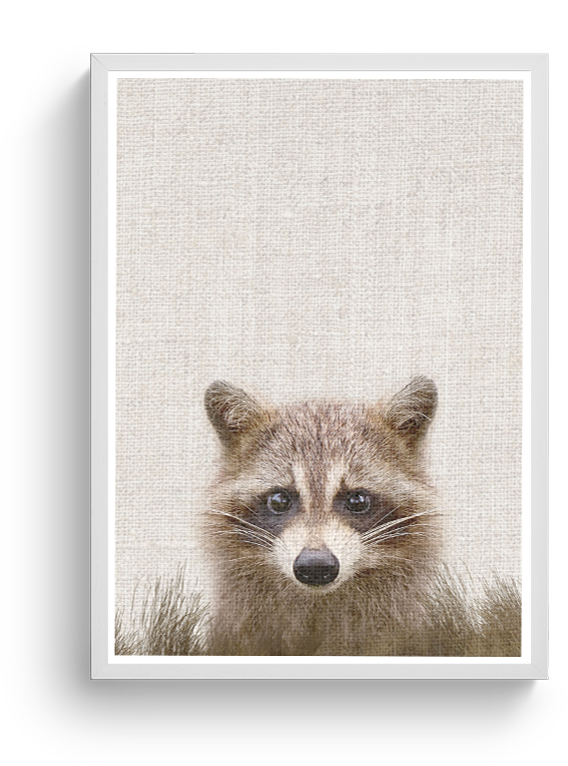 Raccoon Portrait Artwork SVG
