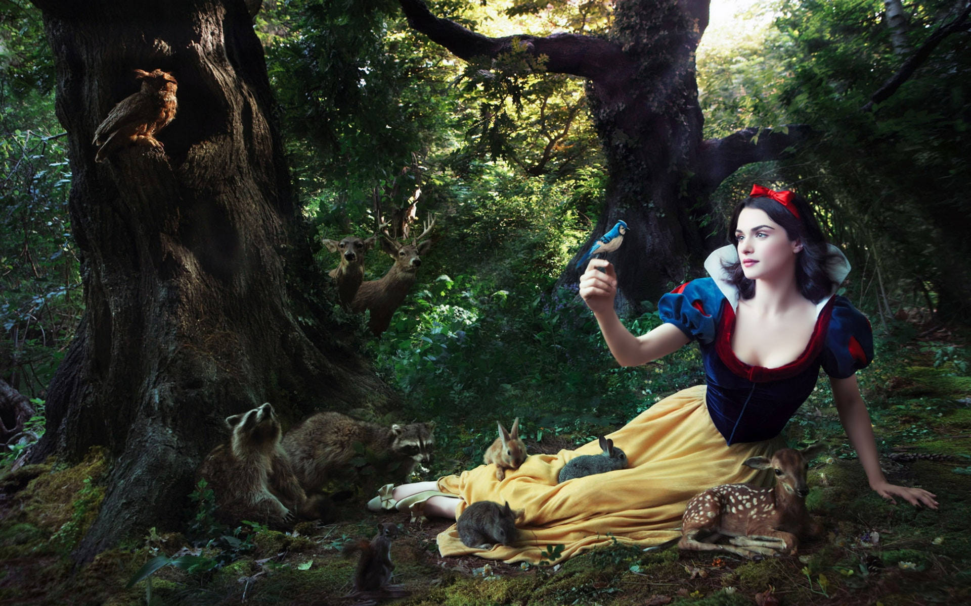 Rachel Weisz As Snow White Wallpaper