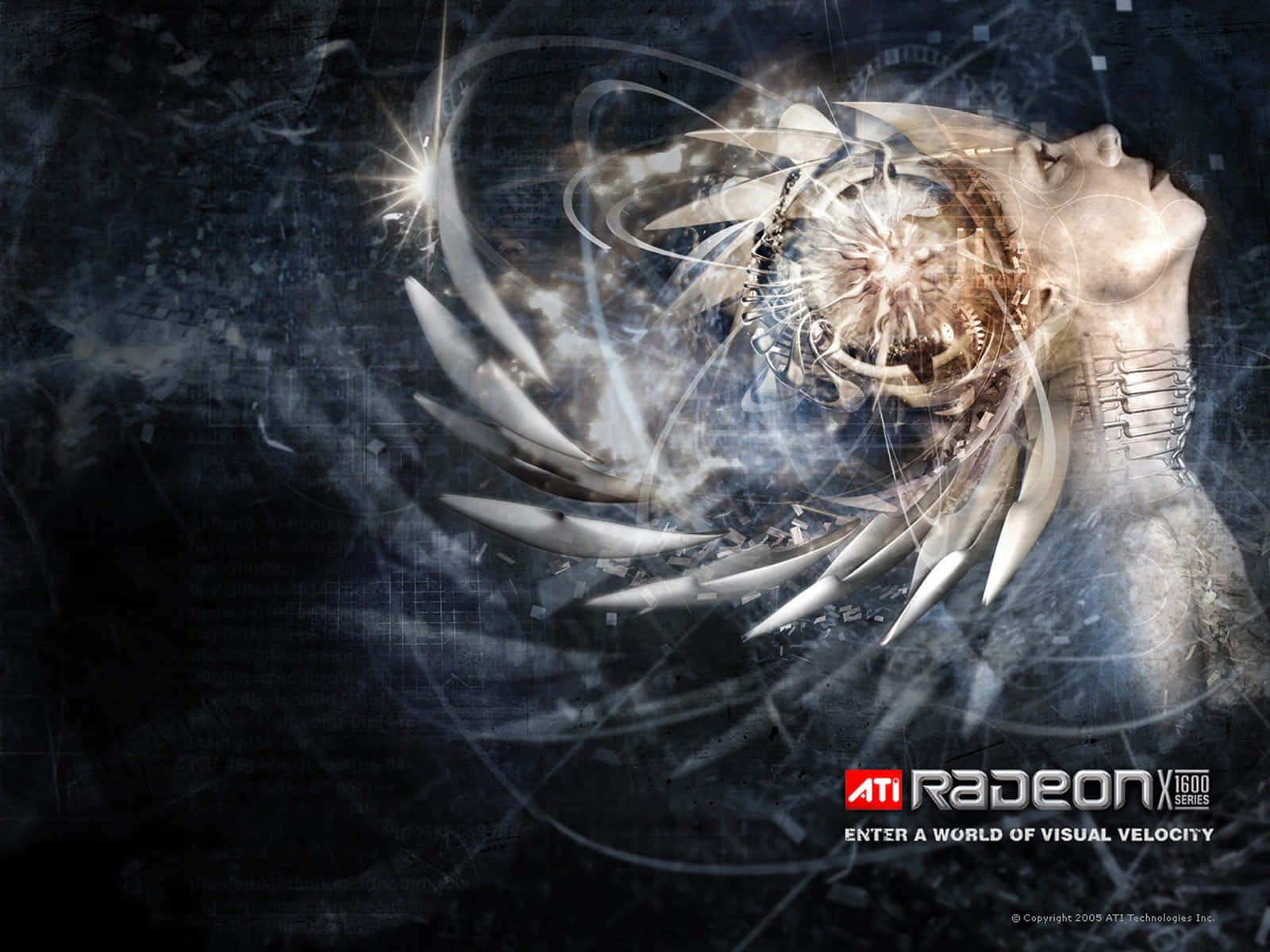 Get the ultimate gaming experience with AMD Radeon™ Wallpaper