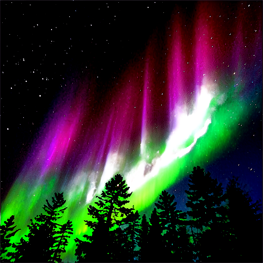 Radiant Aurora Above Treetops Png 27 PNG
