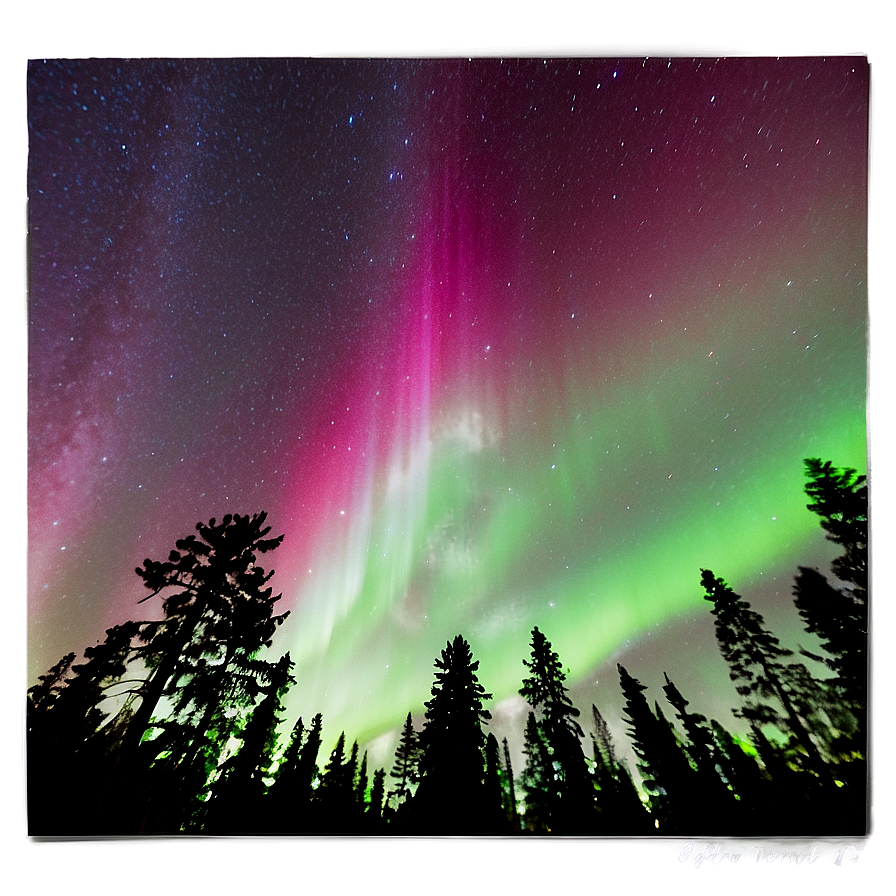 Radiant Aurora Above Treetops Png 90 PNG