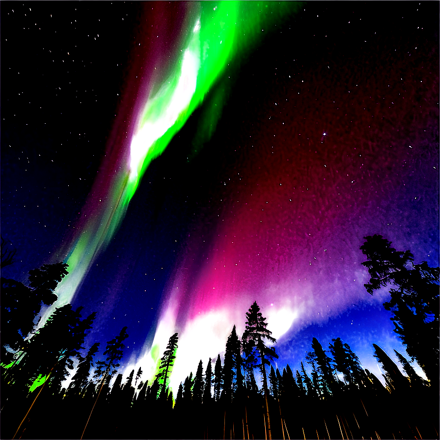 Radiant Aurora Above Treetops Png Ogy21 PNG
