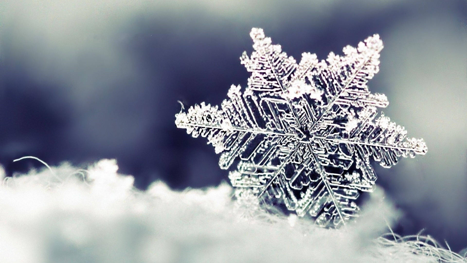 Radiant Dendrite Snowflake