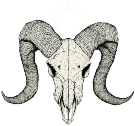 Radiant Horned Skull Illustration.png PNG