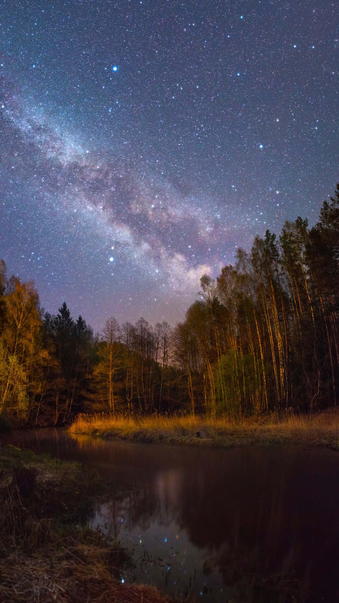 Radiant Night Sky