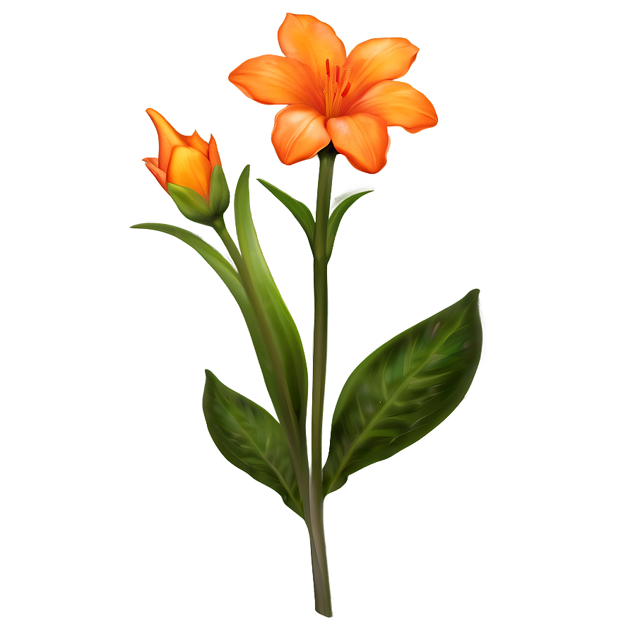 Radiant Orange Flora Png All PNG