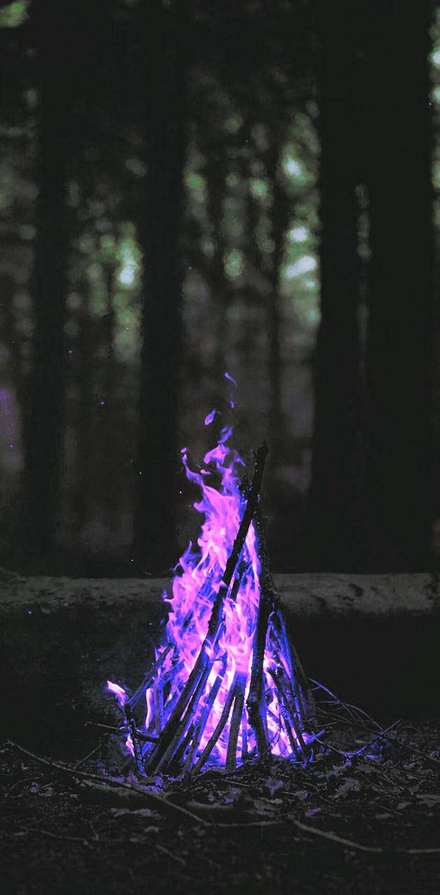 Radiant Purple Fire Igniting The Darkness Wallpaper