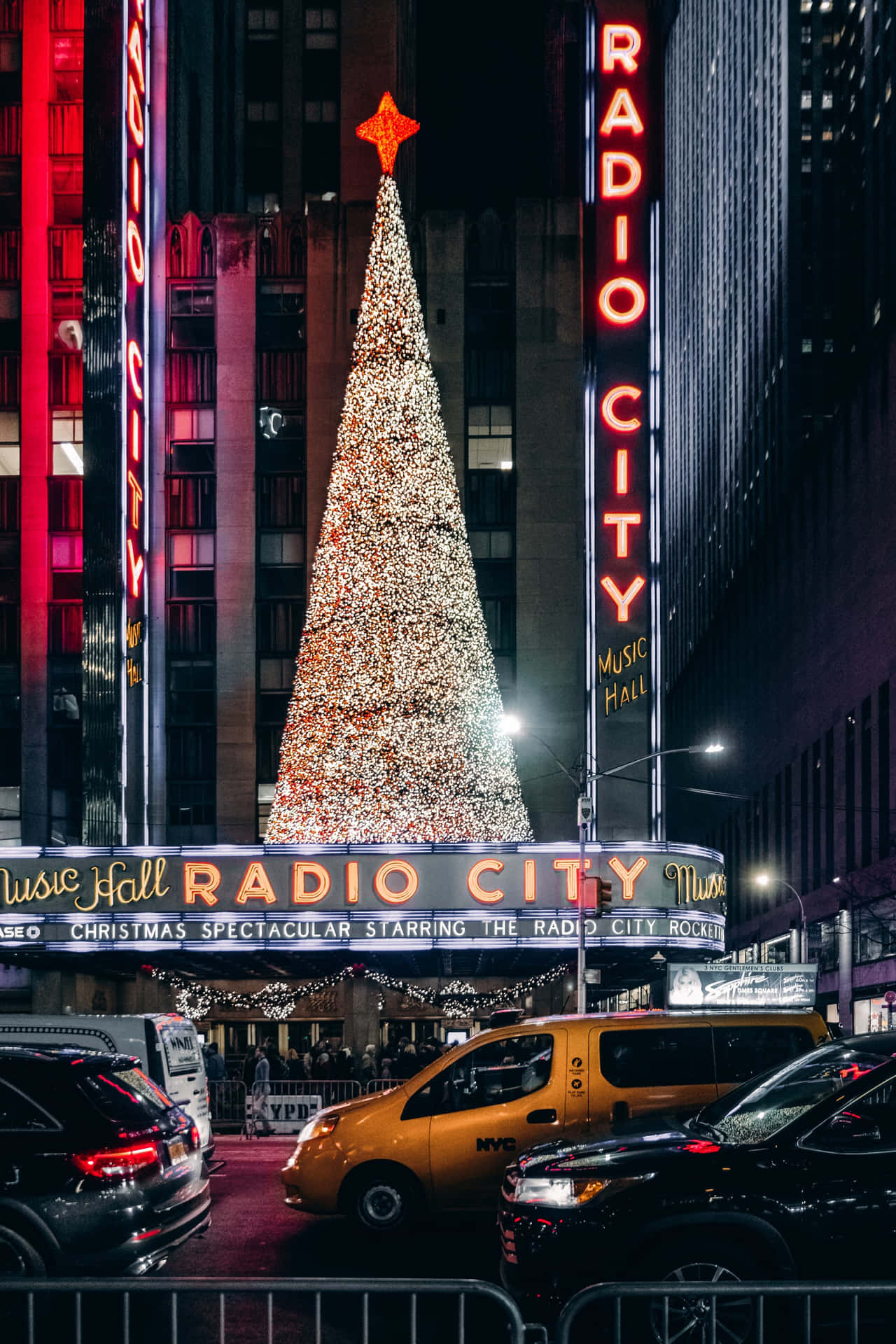 Radio City FM Simple Aesthetic Cute Christmas Light Tree Wallpaper