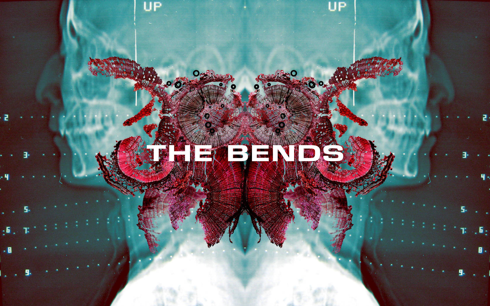 Radioheaddas Bends Album Cover Wallpaper