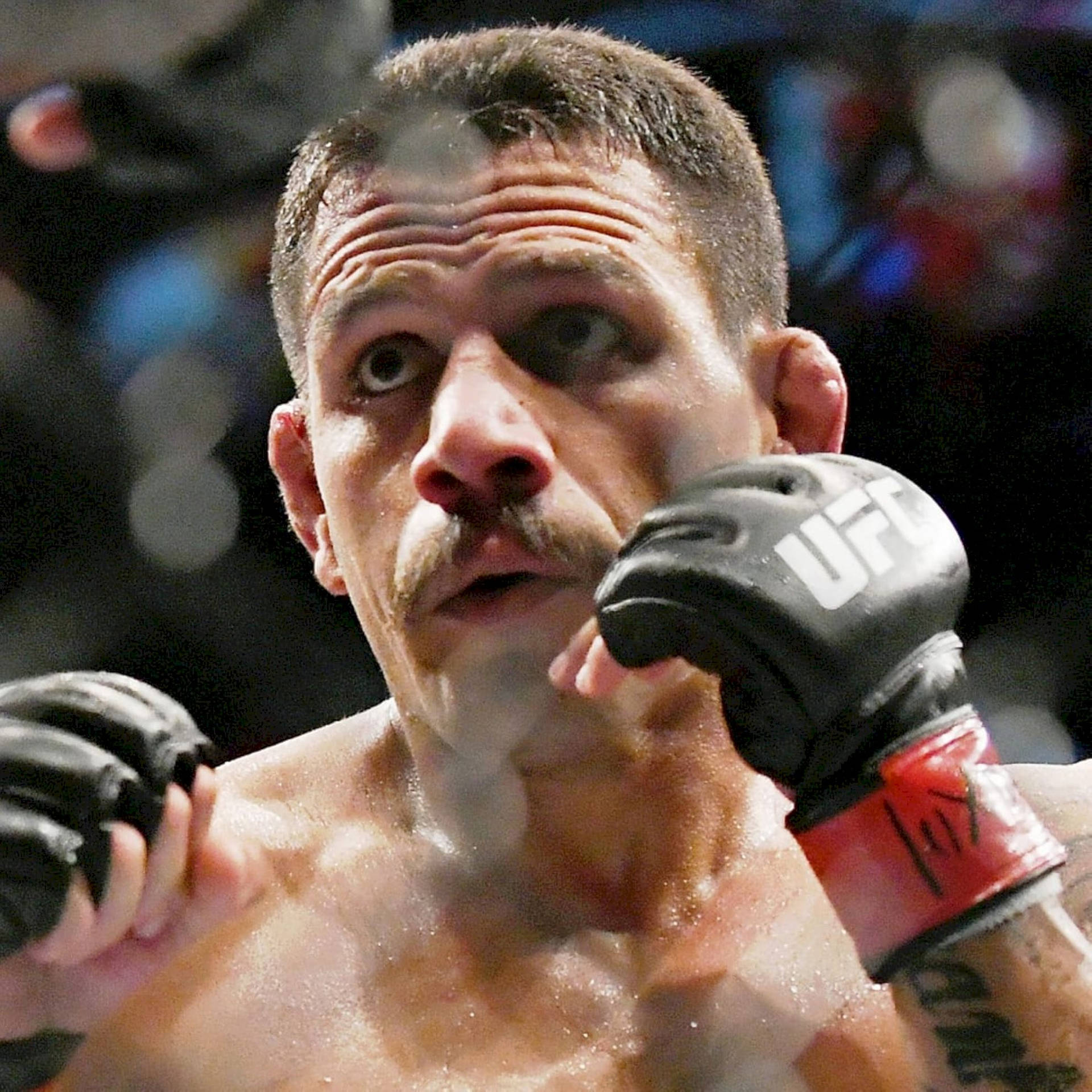 Rafael Dos Anjos - Focused and Ready for the Battle Wallpaper