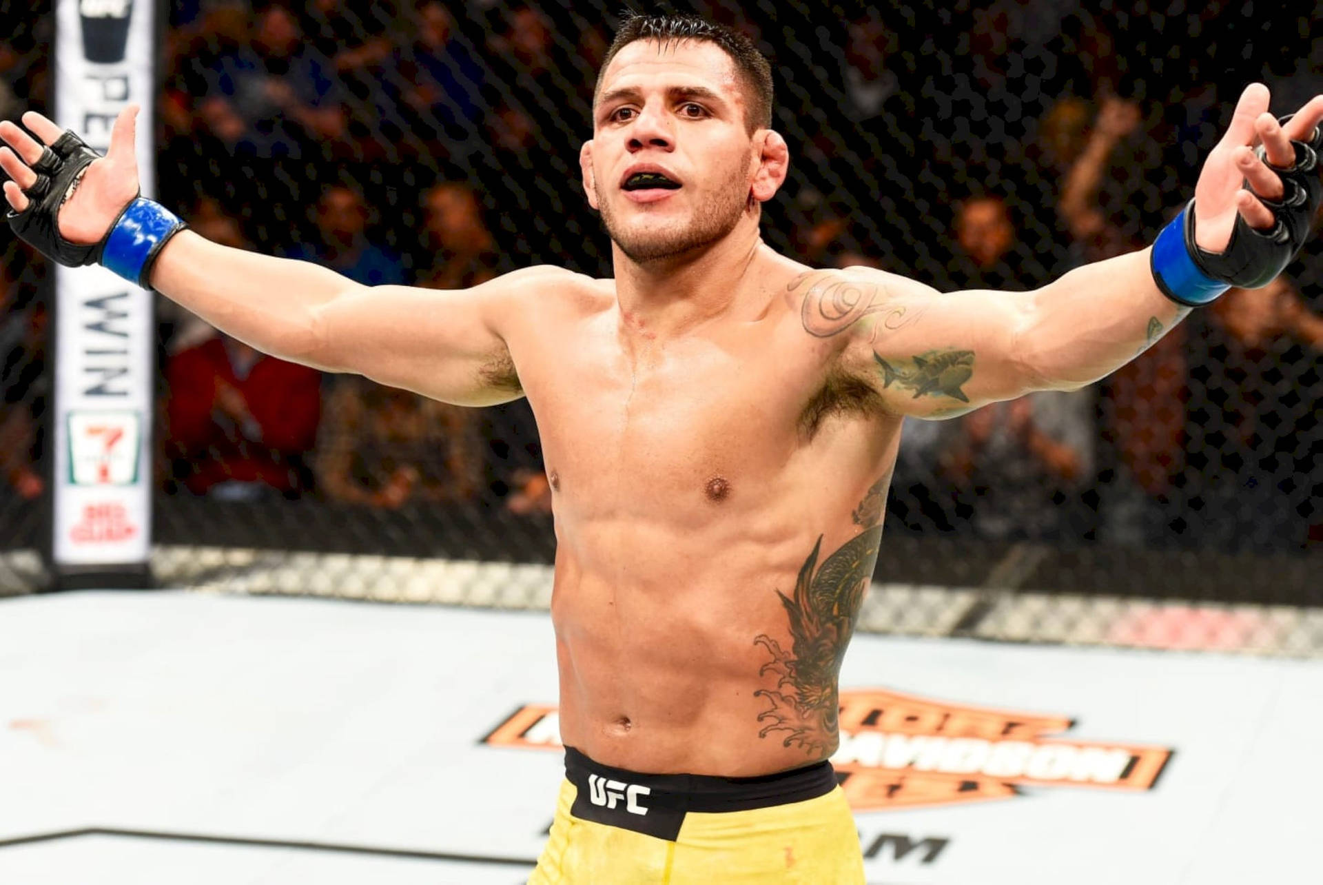 Rafael Dos Anjos Extending Arms Out Picture