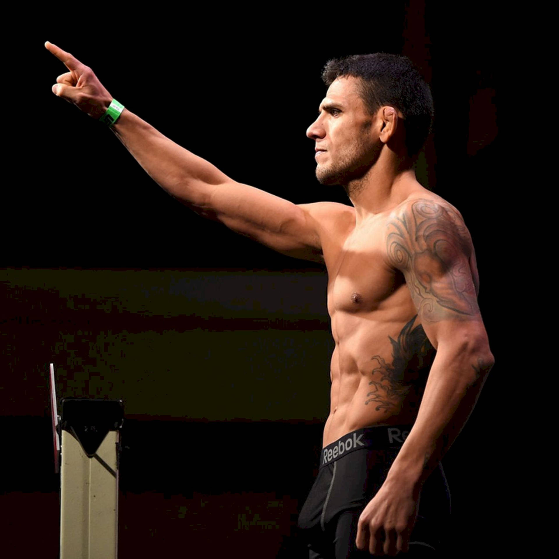 Rafael Dos Anjos Pointing To Audience Background