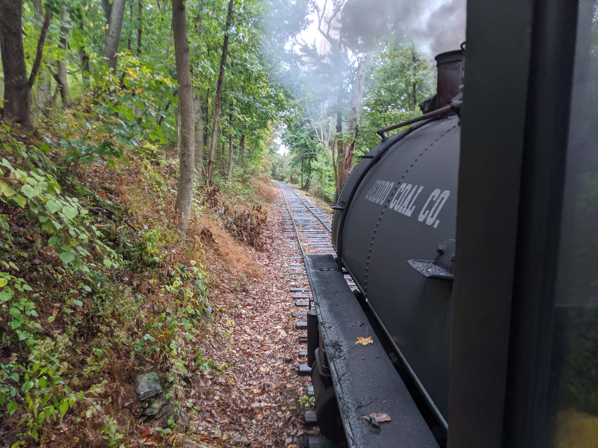 Scenic Railroad Picture
