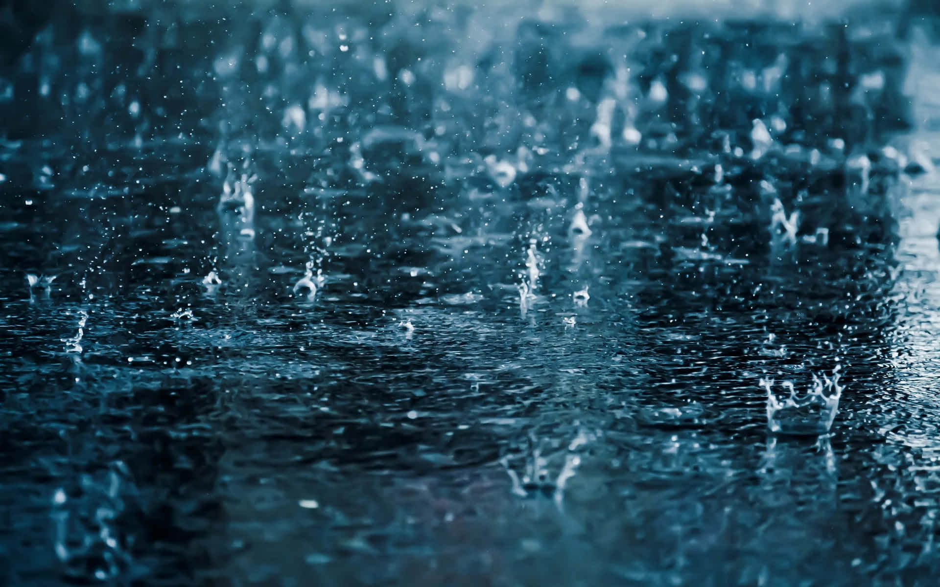 Rainy Day Live WallpapersAmazoncomAppstore for Android