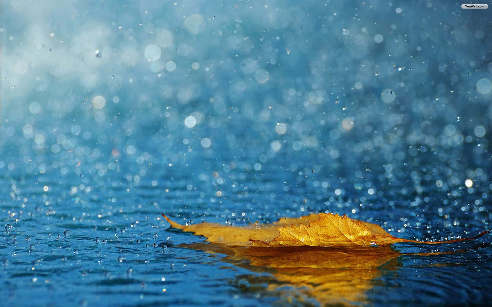 Happiness is Alive on Rainy Days Wallpaper