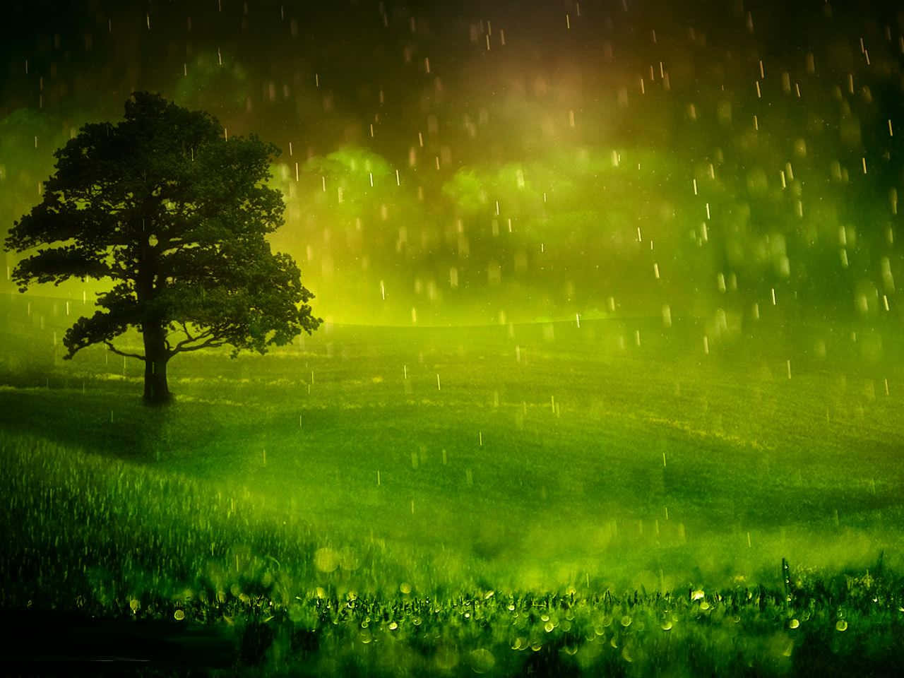 A Green Field With A Tree In The Rain Wallpaper