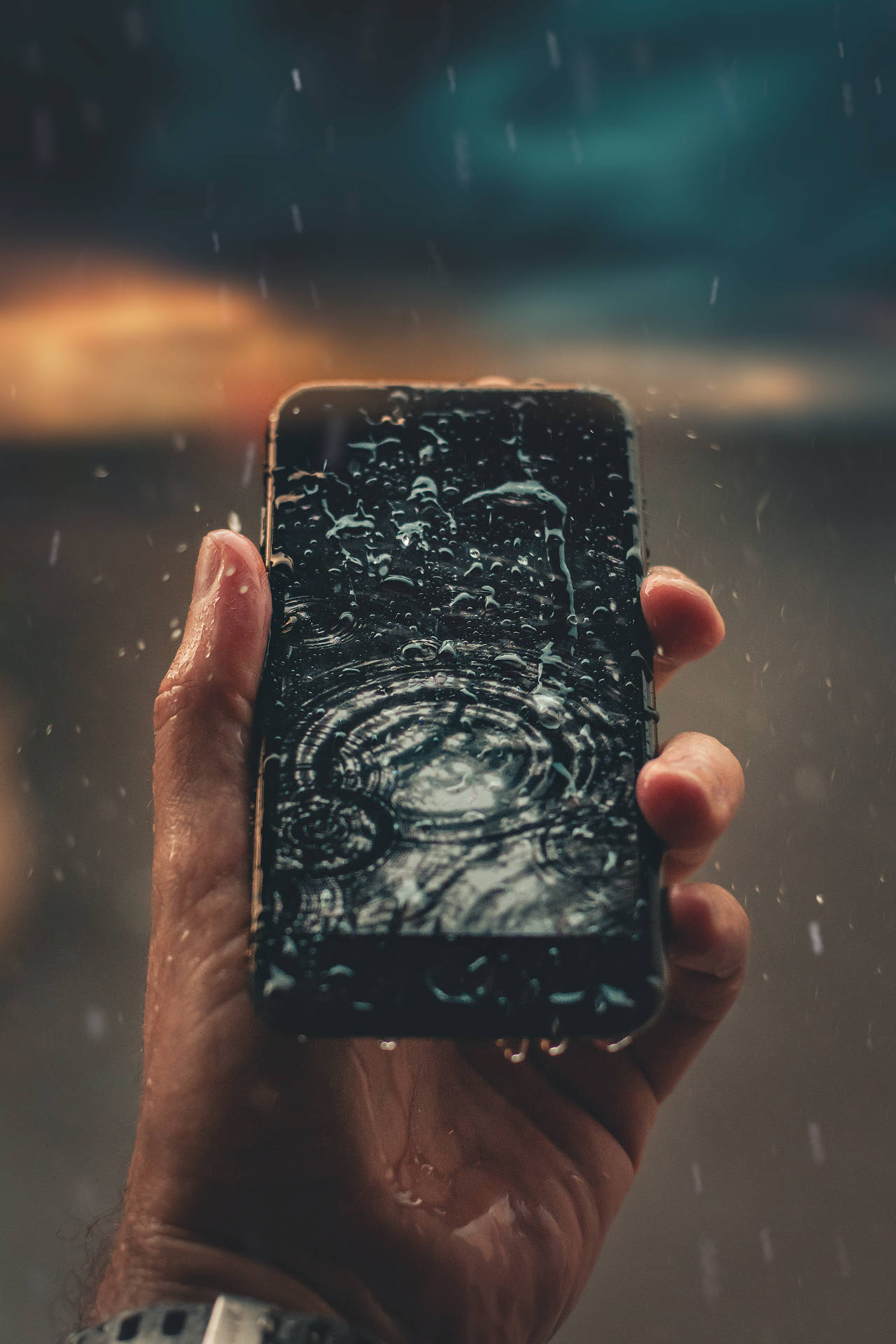 Rain Nature Våd Telefon Wallpaper
