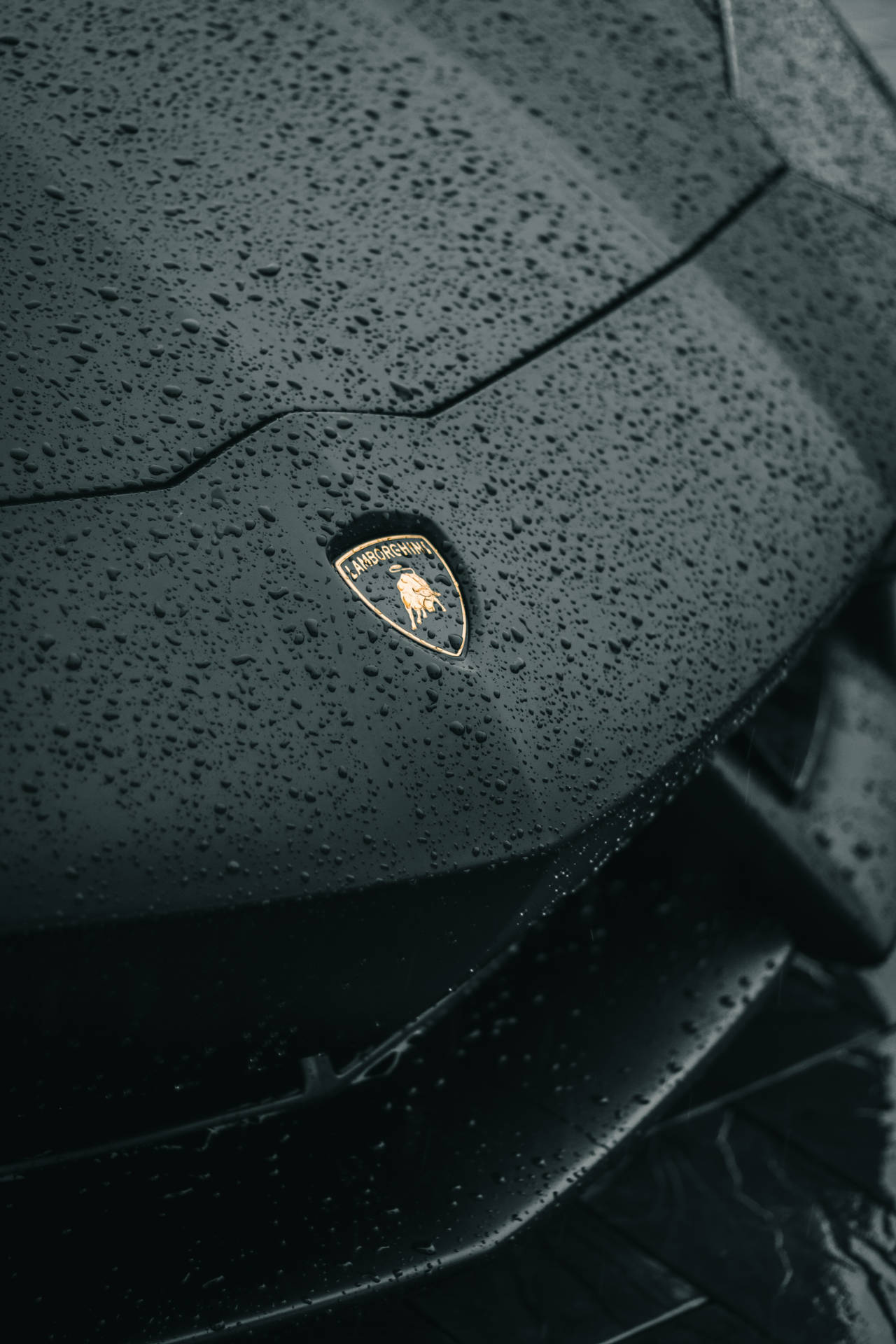 Rain On Hood Lamborghini Galaxy Wallpaper