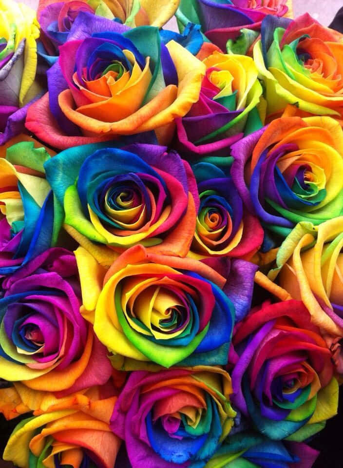Rainbow Roses In A Bouquet