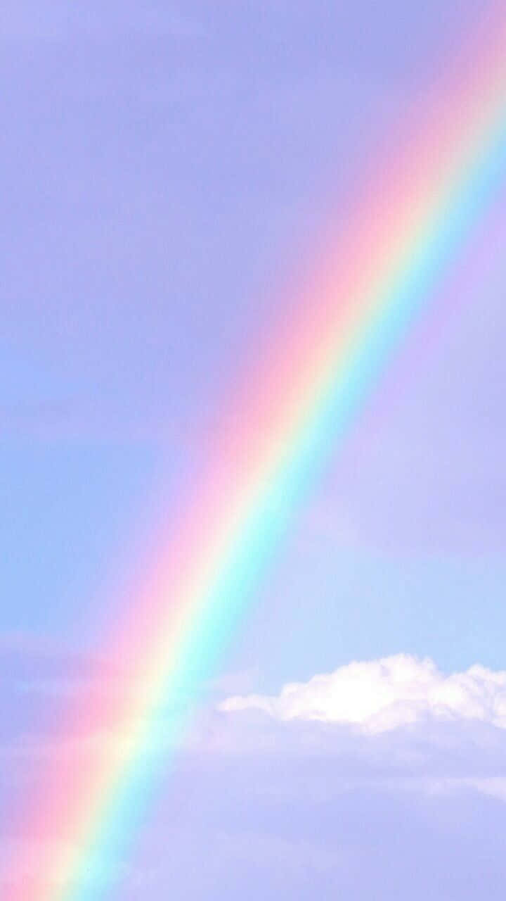 Celebral'arcobaleno Di Colori E Fatti Ispirare Dalla Loro Bellezza!