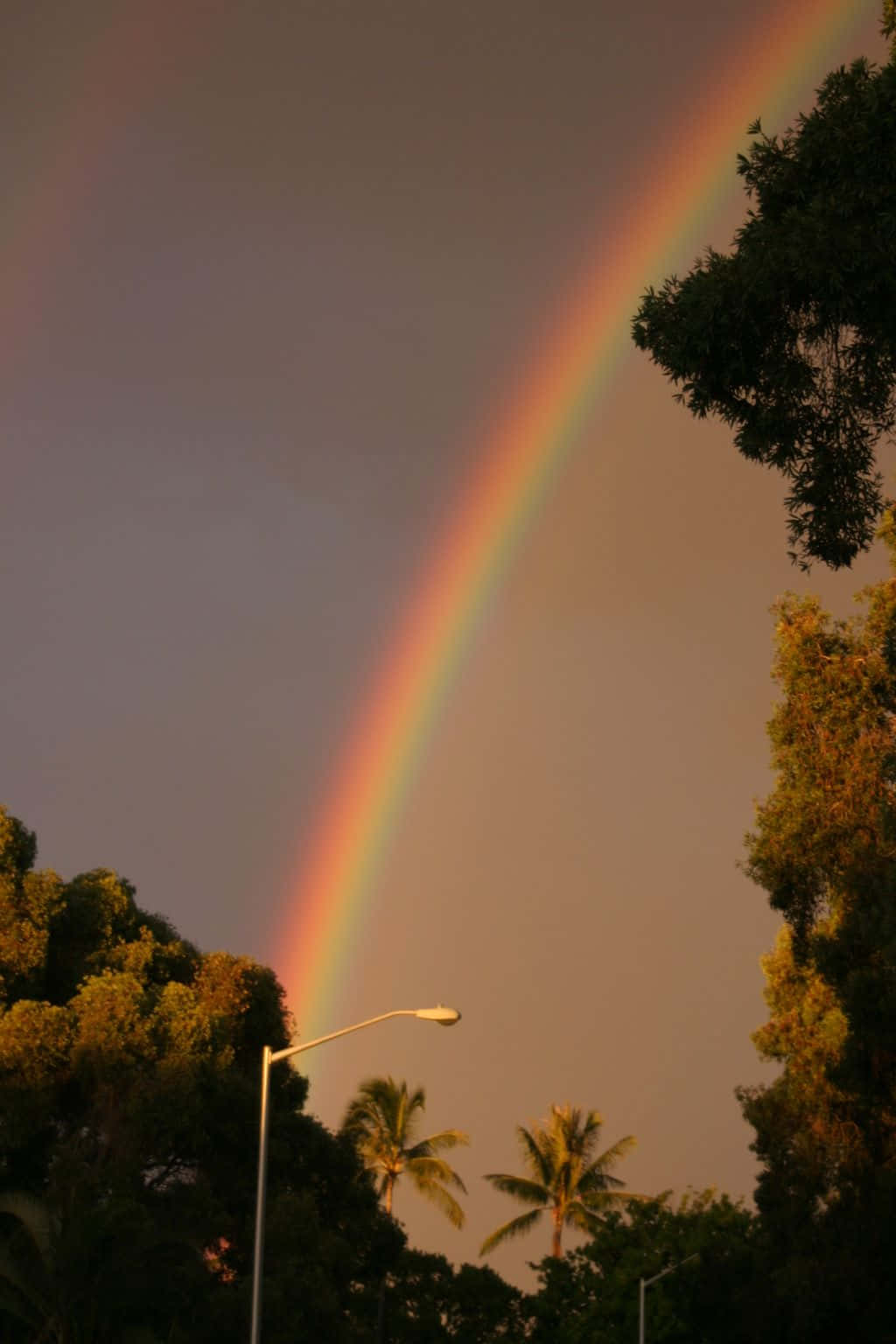 A Double Rainbow Is Seen Over A Street With Trees