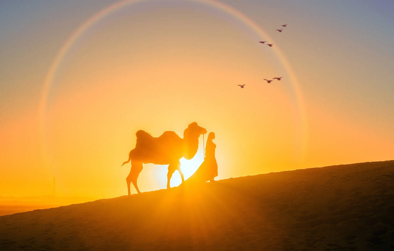 Arcoírisalrededor Del Sol En El Desierto. Fondo de pantalla